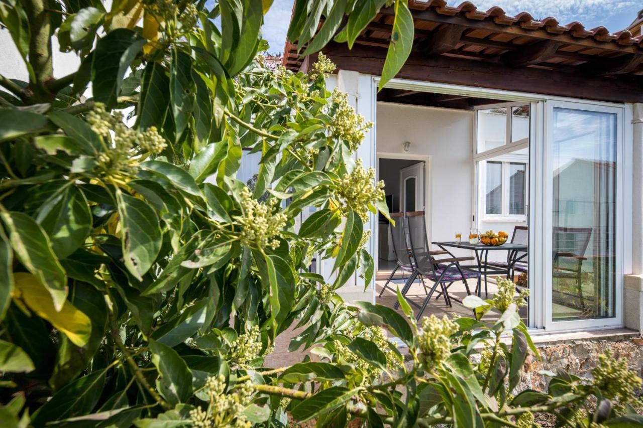 Avocado Apartment Dubrownik Zewnętrze zdjęcie